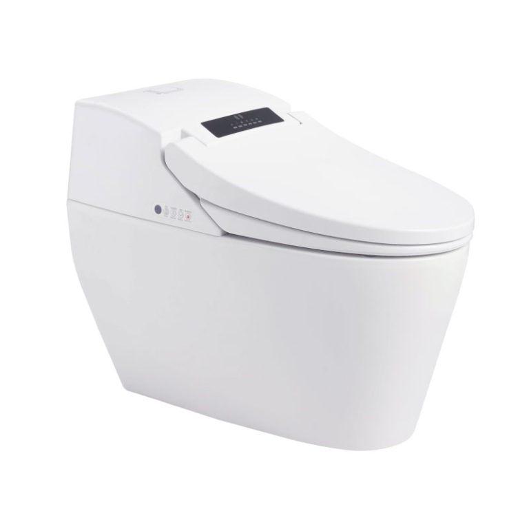 Intelligent Toilet