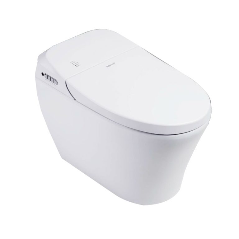 Intelligent Toilet