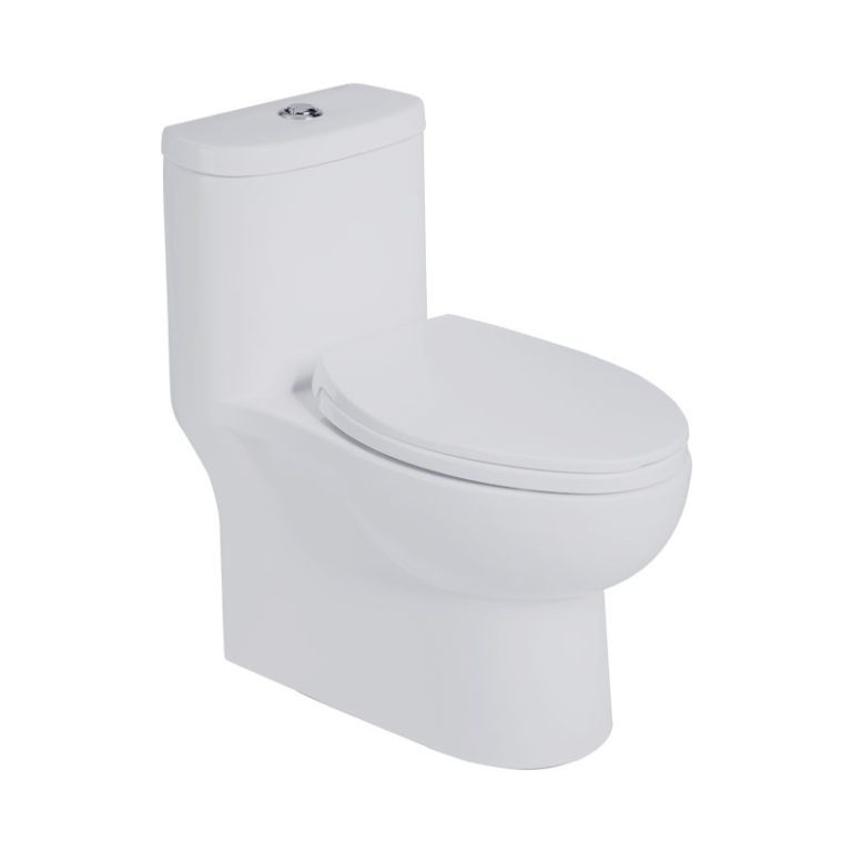 One-piece Toilet