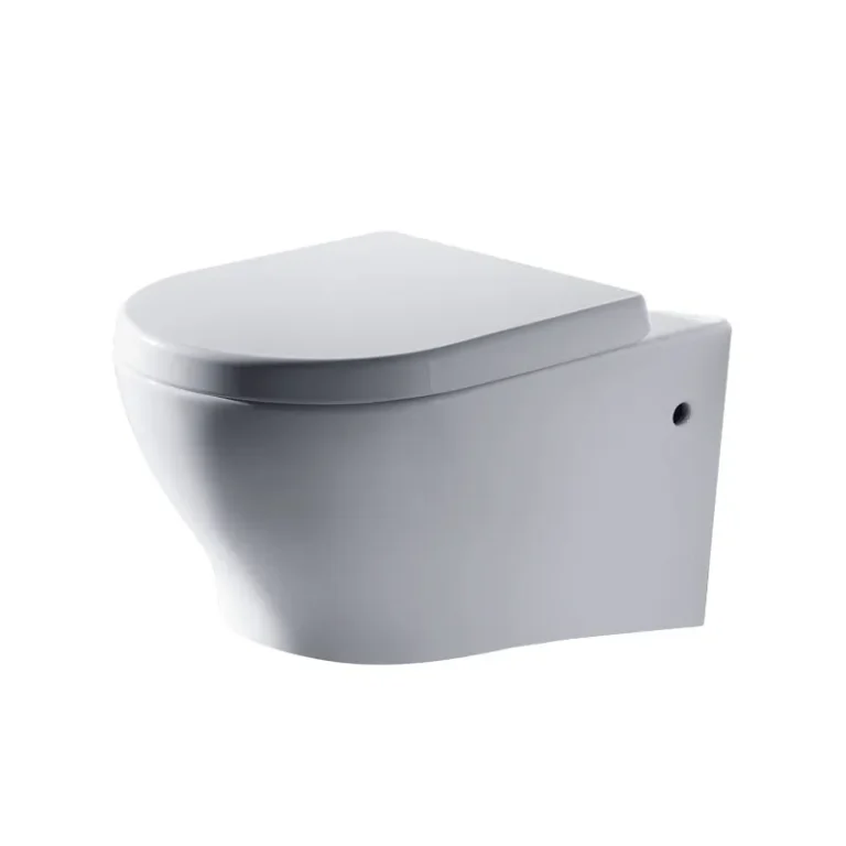 Wall-hung Toilet